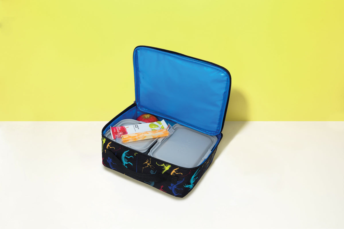 freezable-lunch-box-limited-edition-h0 2022_Lifestyle_Lunch-Box_Dino_Fossils2_Hires.jpg