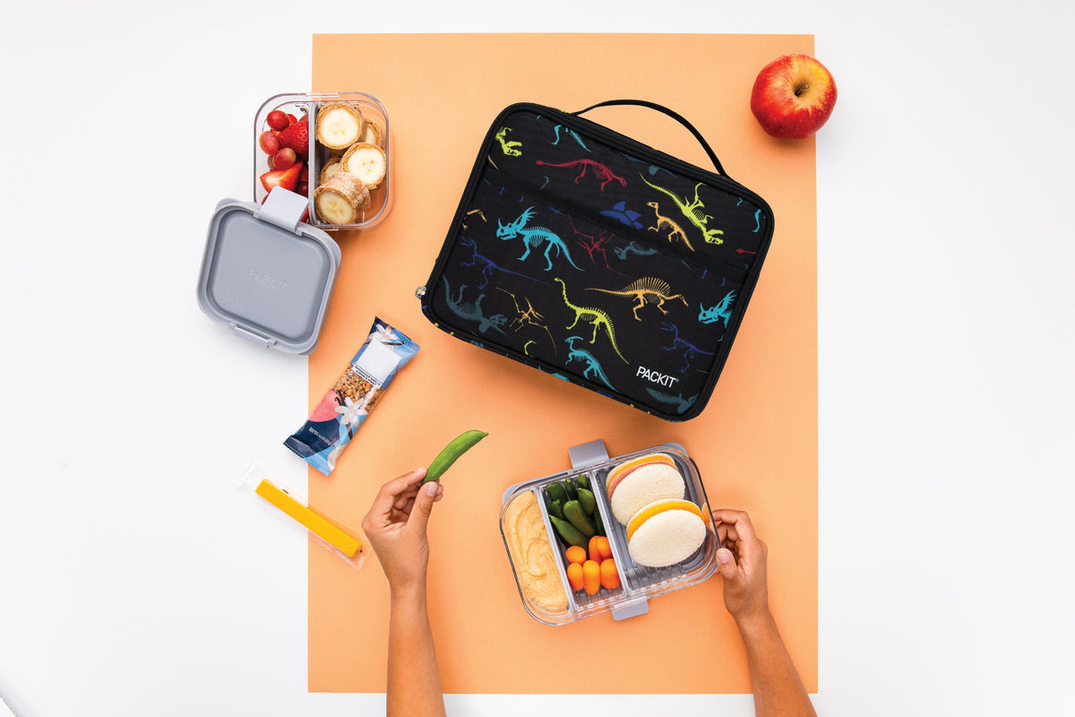 freezable-lunch-box-limited-edition-h0 2022_Lifestyle_Lunch-Box_Dino_Fossils_Hires.jpg